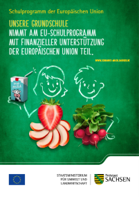 Plakat EU Programm